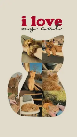 I love my cat🐈‍⬛