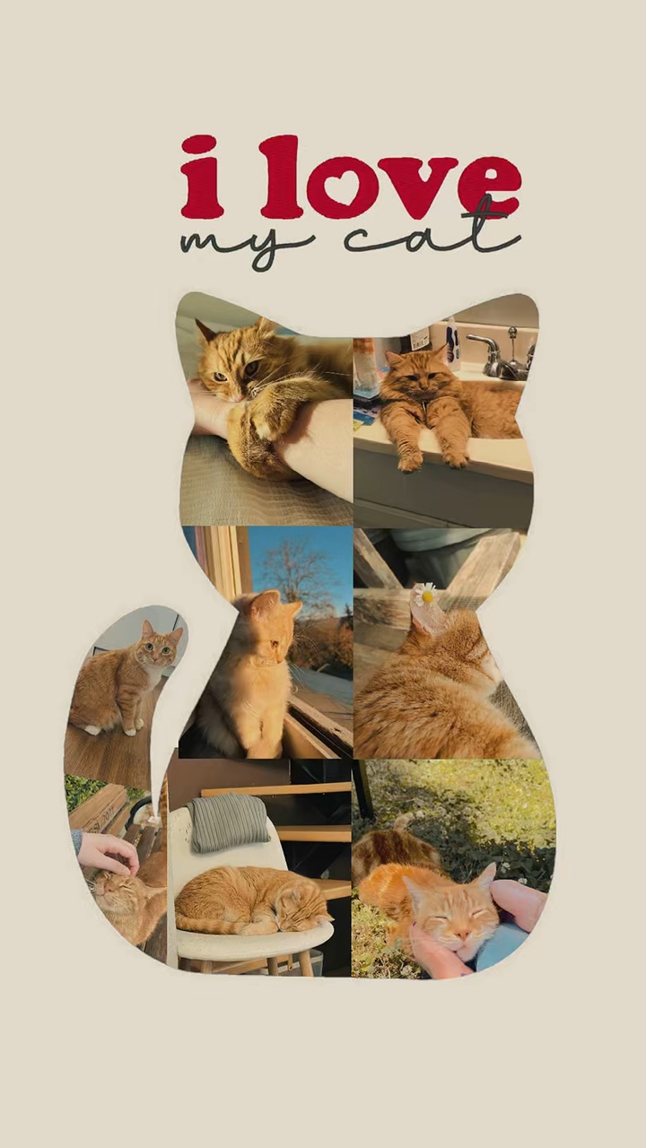 I love my cat🐈‍⬛
