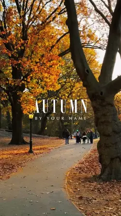 Autumn vibe 