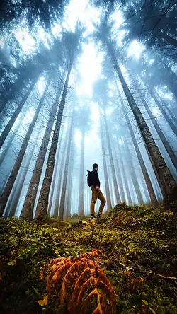 Nature 