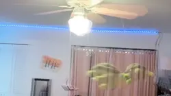 Sea turtle 🌊🐢🎀🌸