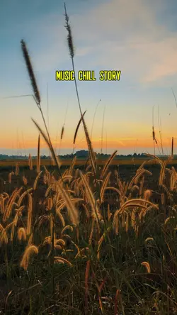 Music Chill Story