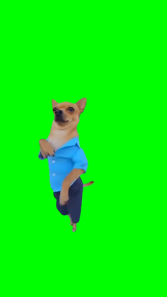 Cachorro dançando