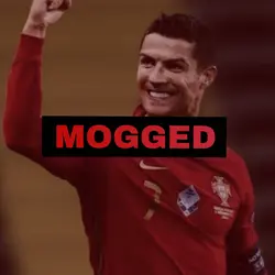 Mogged