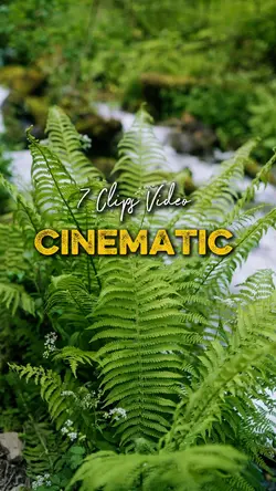 Cinematic 7 Video 