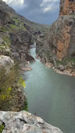 Rojda şablonu 