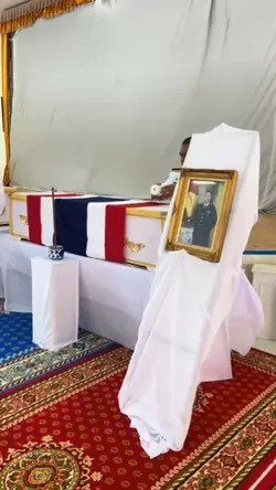 កំហឹងសត្វឆ្មា