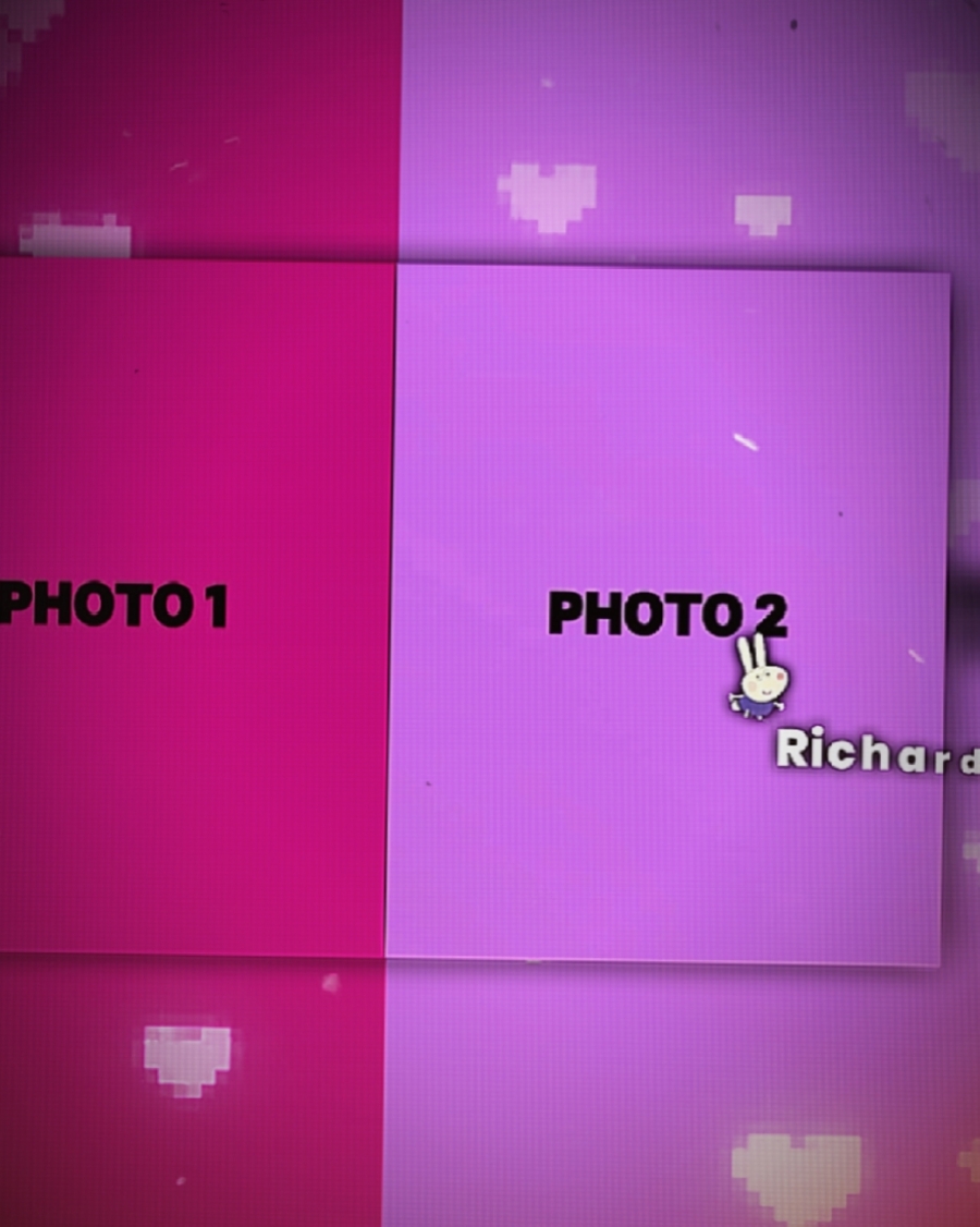PRO EDIT MASTAR