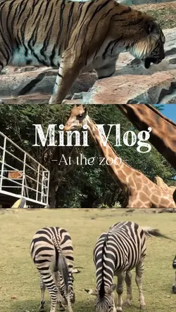 Mini vlog zoo