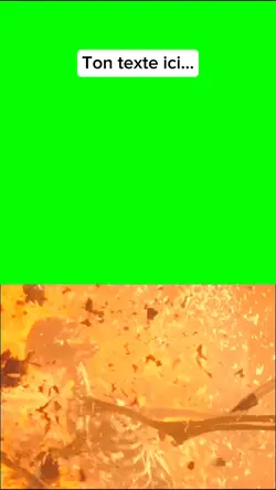 La chaleur de l'été