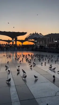 Islamic aesthetic 