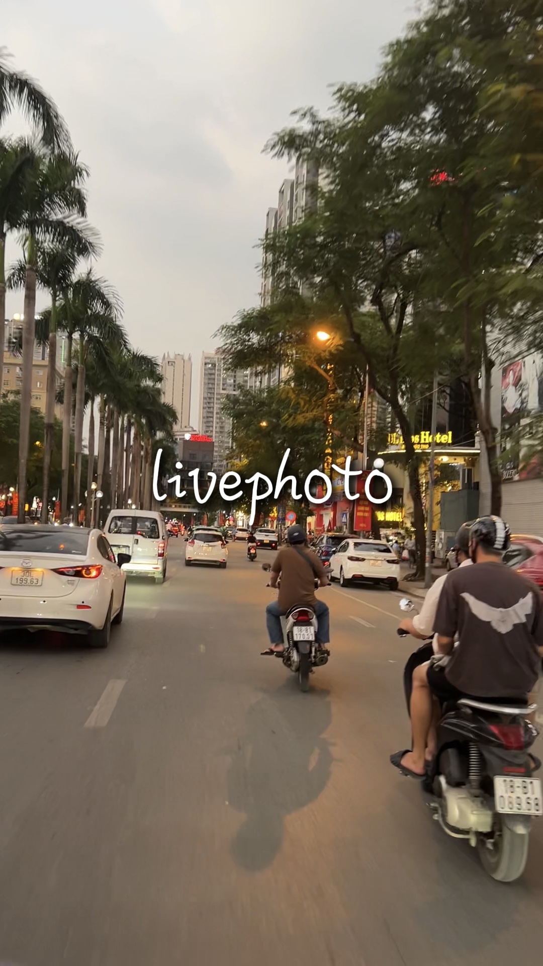 Cover Picture