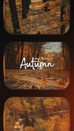 AUTUMN | FALL