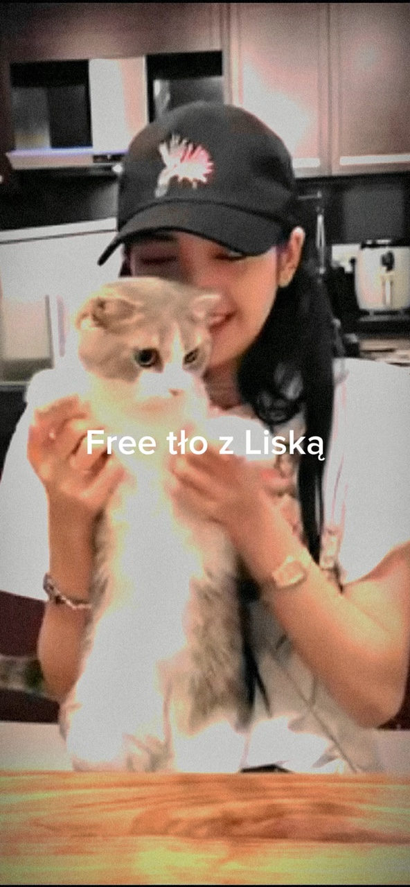 Free tło z Liską