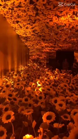 vangogh...