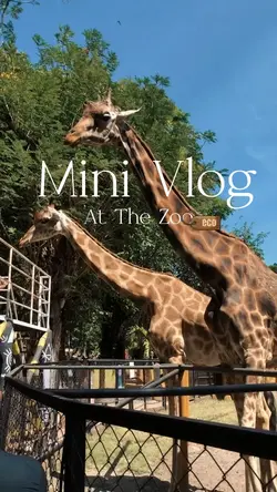 zoo mini vlog