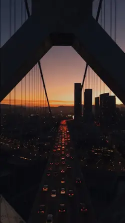 Urban Life