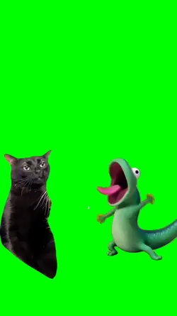 cat meme lizard