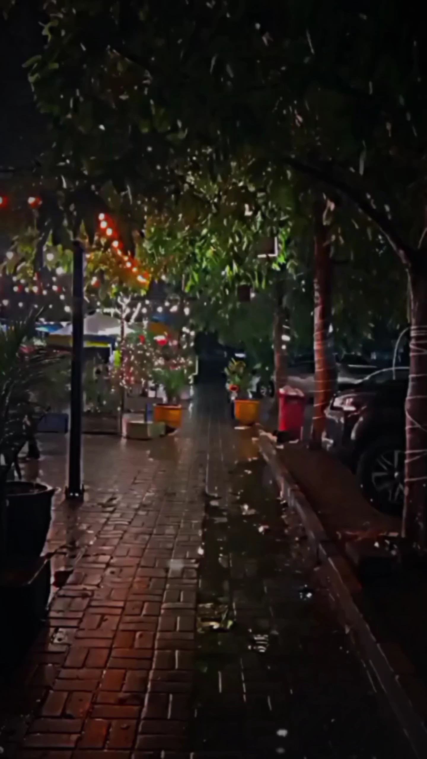 Sad mood lines 