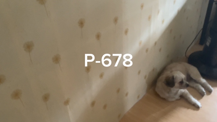 Peta pelero