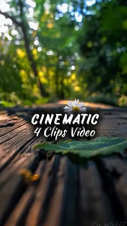 4 CLIPS VIDEO HD 