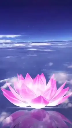 mẫu hoa sen đẹp 