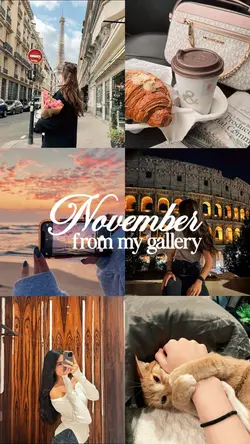november my gallery
