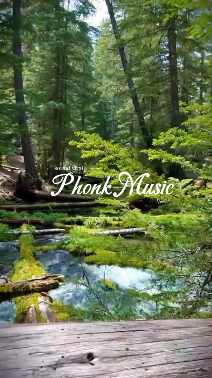 Viral Musik Phonk 