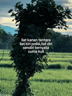 Story Kulii