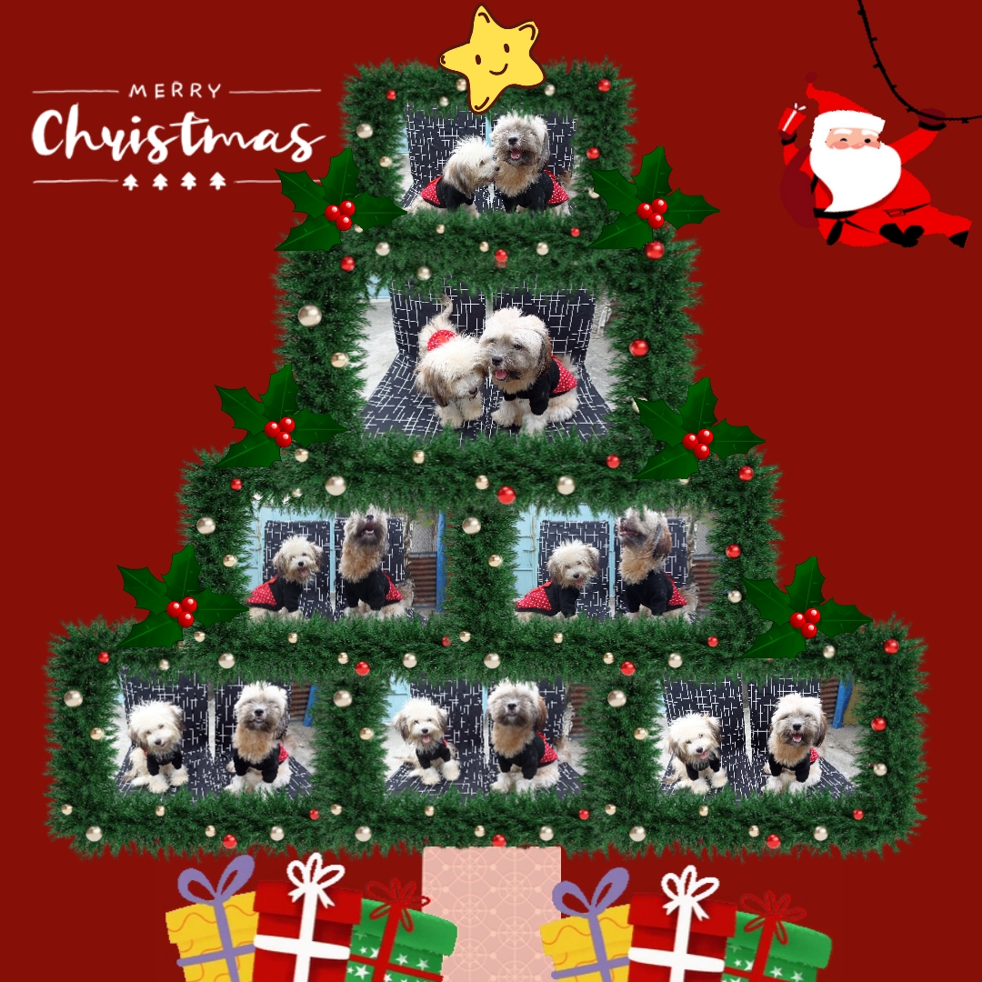CHRISTMAS TREE
