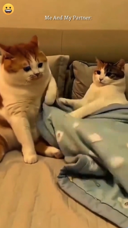 Ben ve Ortağım 