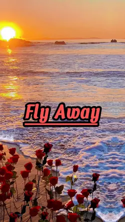 Fly Away remix
