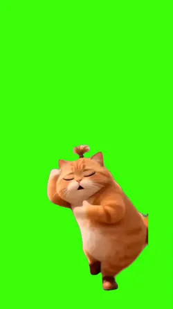  Cat.