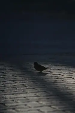 Kanjosi Aur baheeli🥀