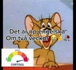 Engelska np 😭✌️