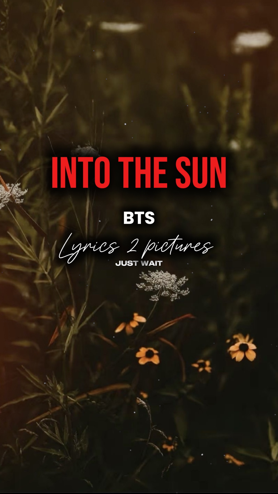 INTO THE SUN 🎵