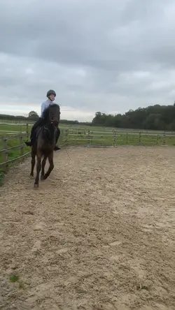 Slo mo template