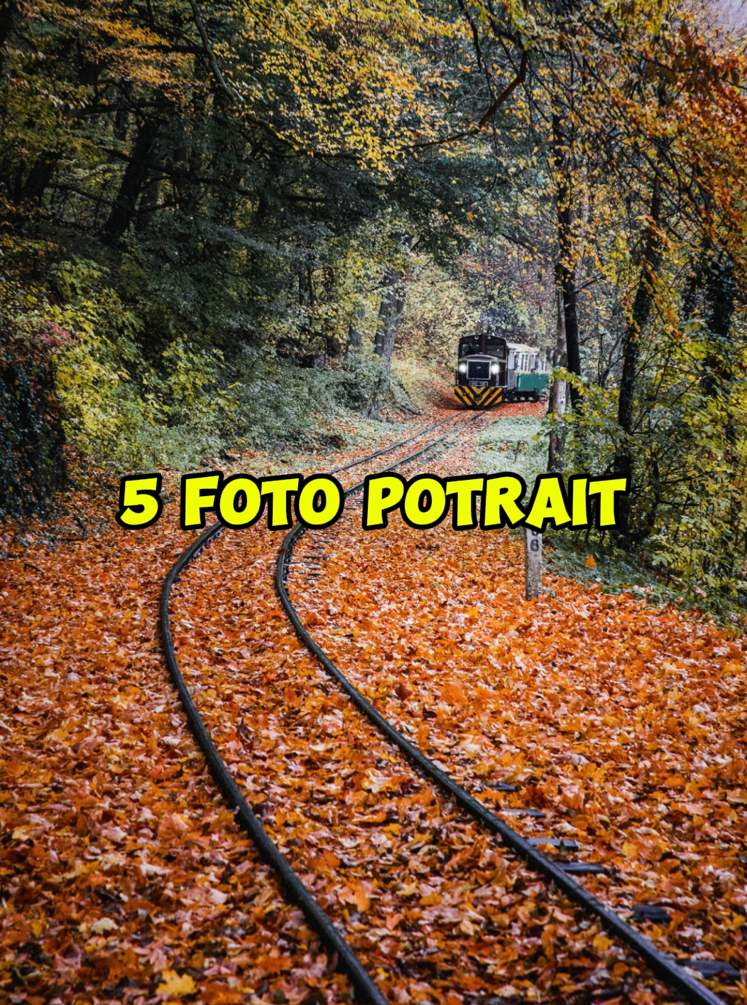 5 fotos de retrato