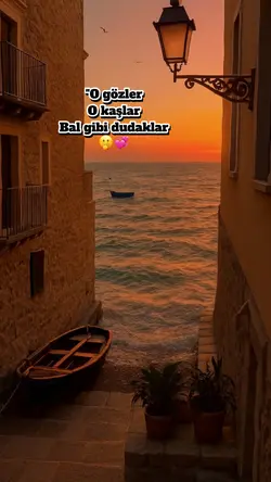 O gözler o kaşlar