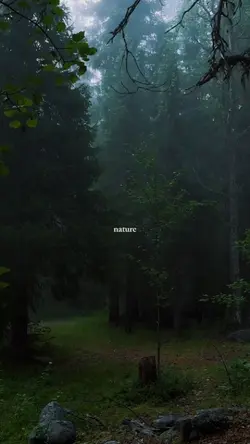 nature
