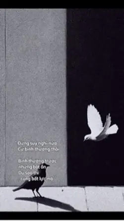 Đừng suy nghĩ…