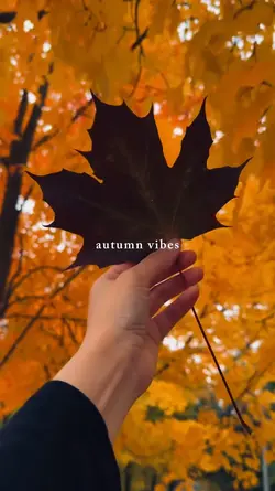 Autumn vibes