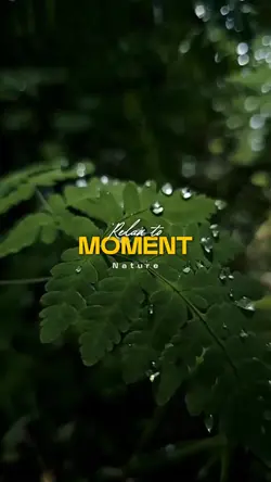 Relax to moment