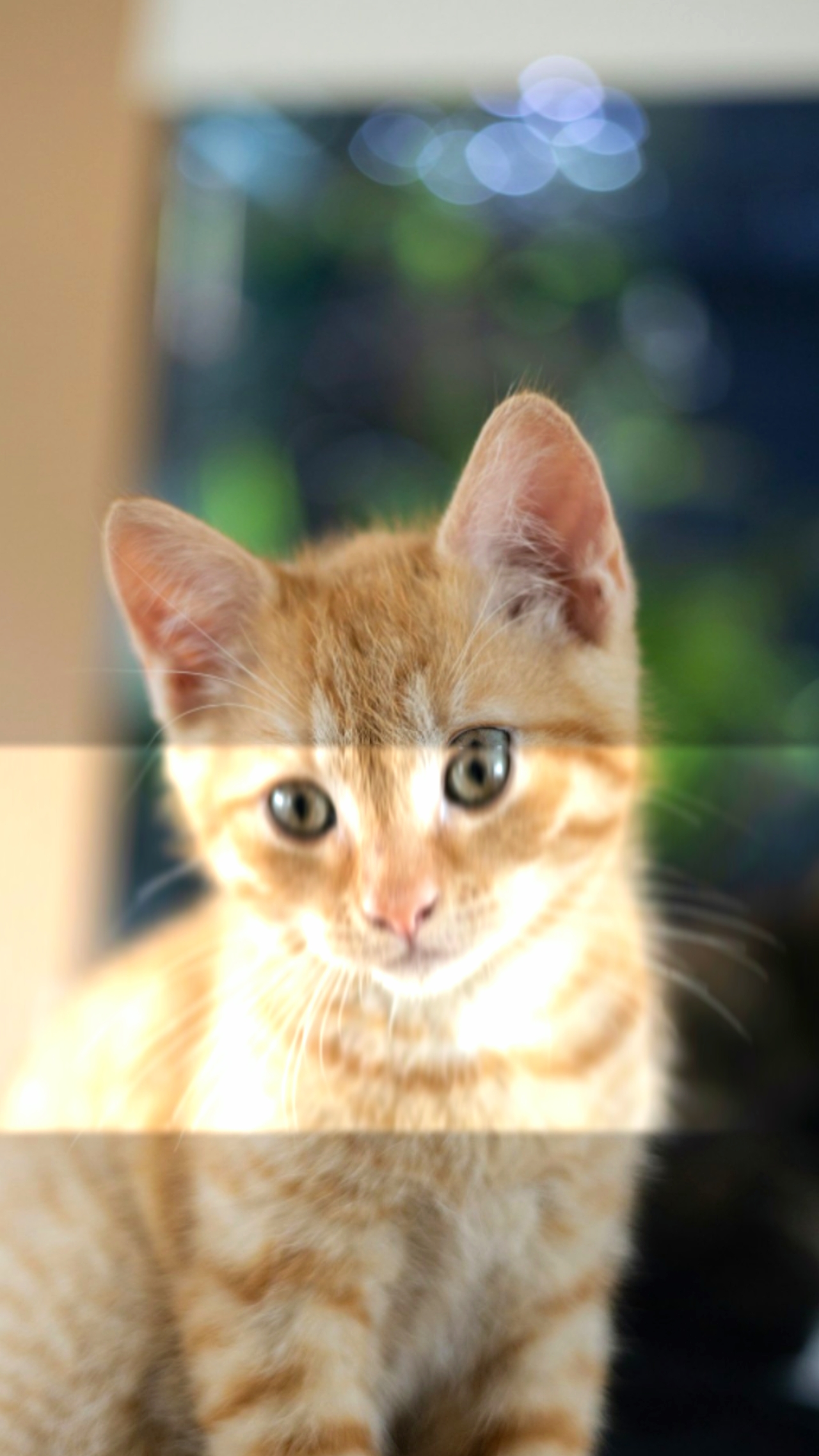 Foto-Animation 