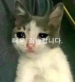 진짜 죄송합니다