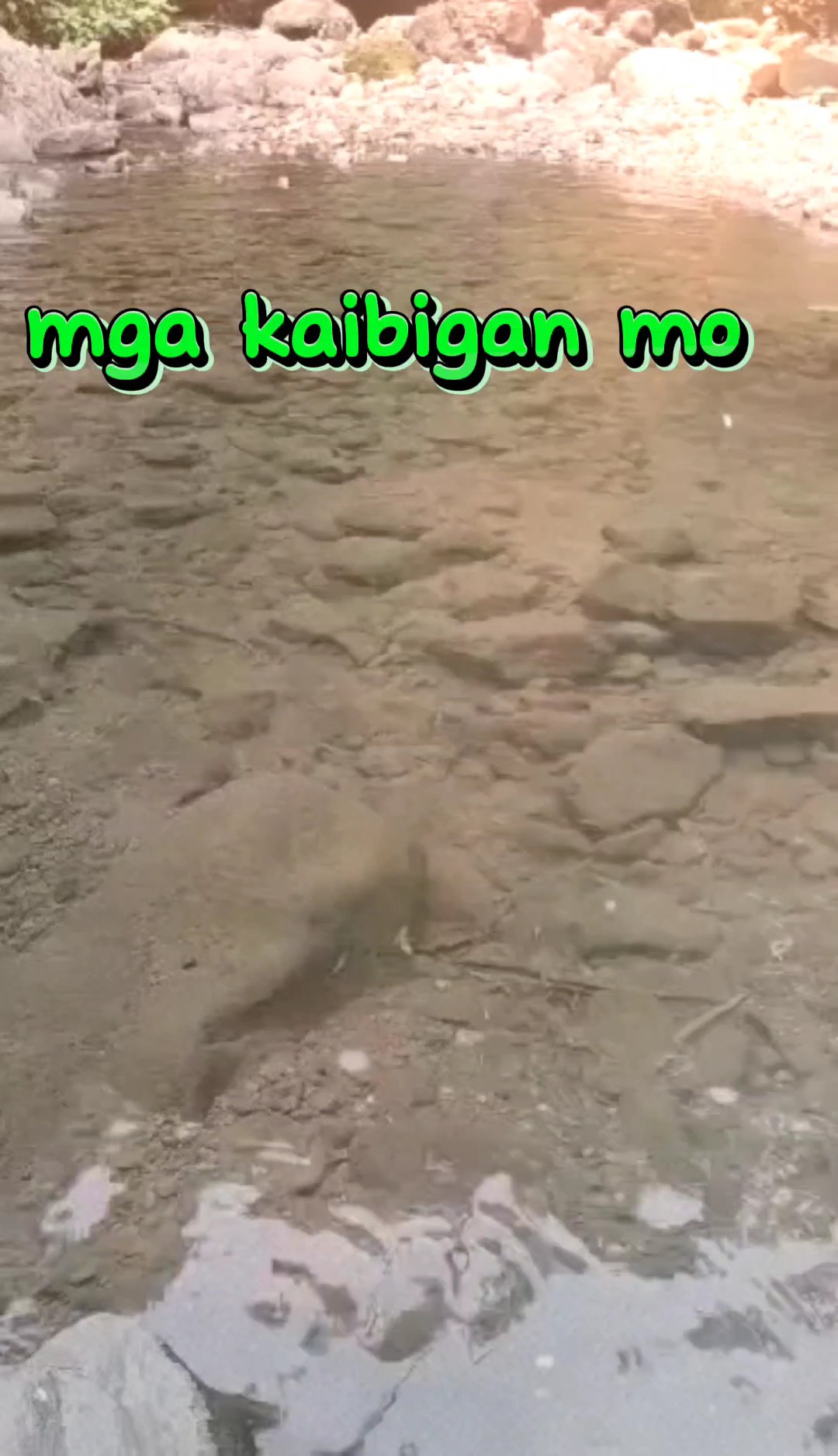 kaibigan 