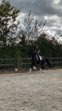 DRESSAGE SLOWMO TS