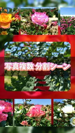 フォト シーン分割