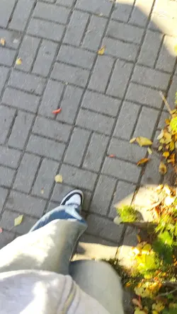 kocham ich.