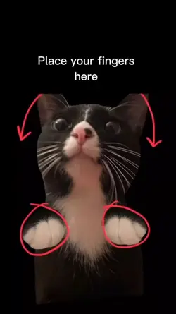 place your fingers